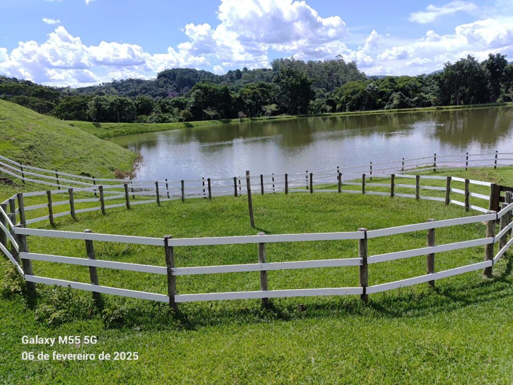 lago 2