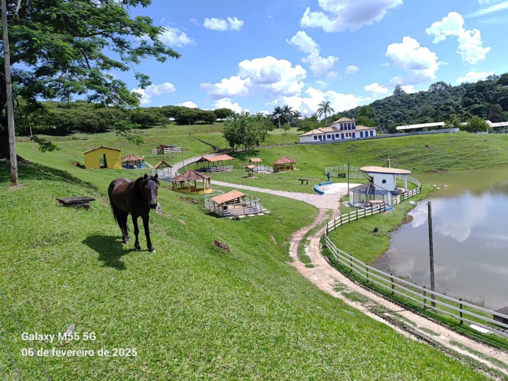 Lago animais