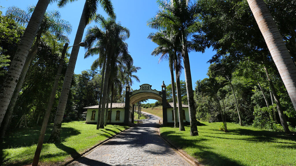 Entrada